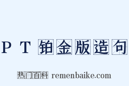 PT铂金版造句是什么意思的图片